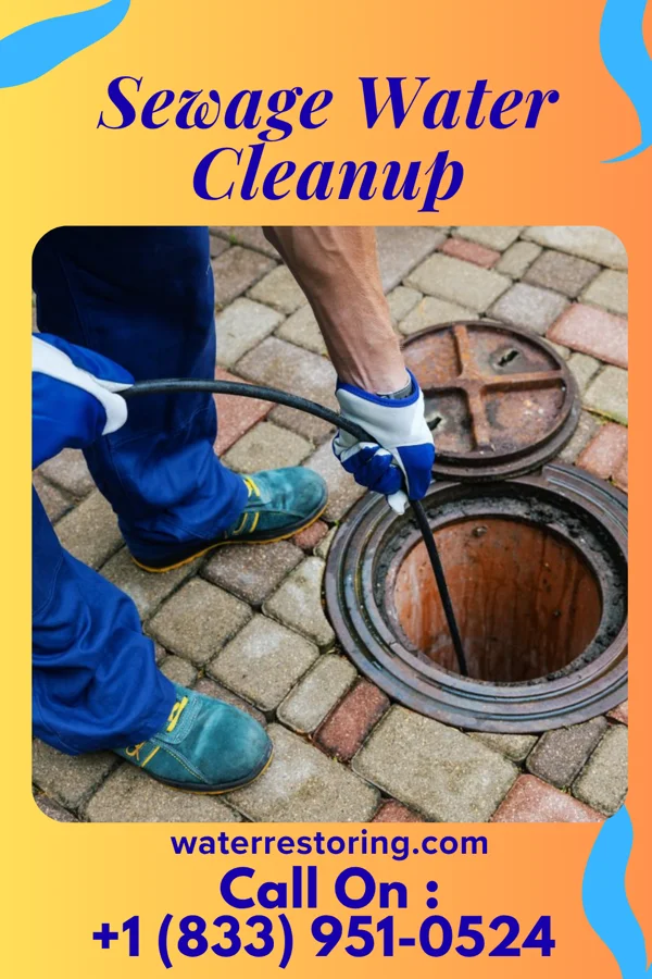 Sewage Water Cleanup in Volga, IA